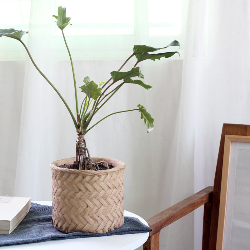 Woven Flower Pot