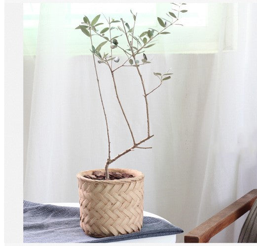 Woven Flower Pot